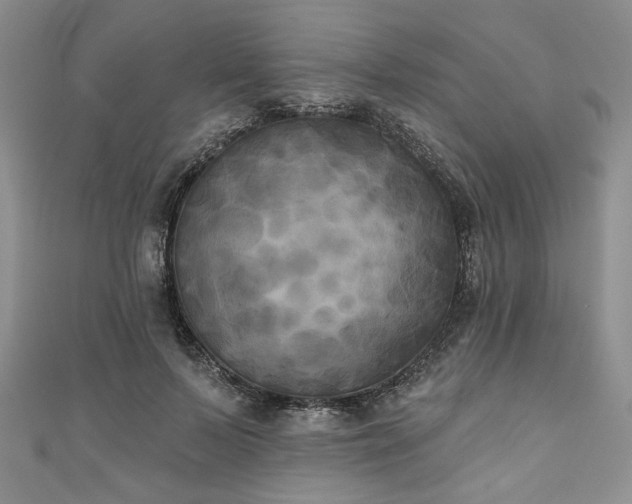 X0000111000695200906261459