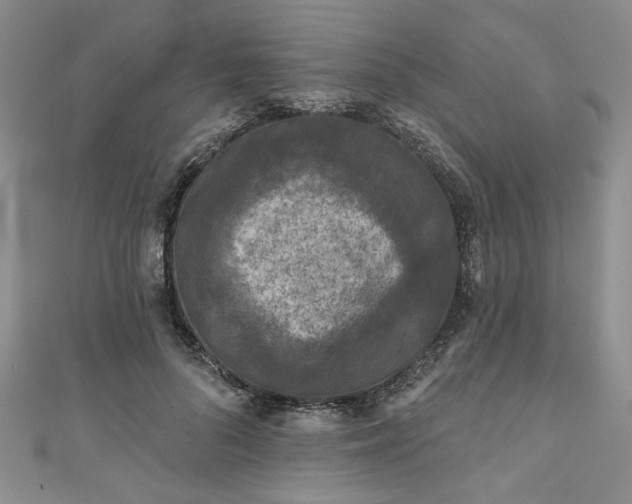 X0000111000696200906261459