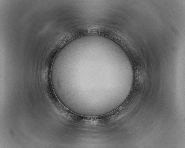 X0000111000698200906261459