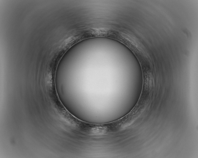 X0000111000700200906261459