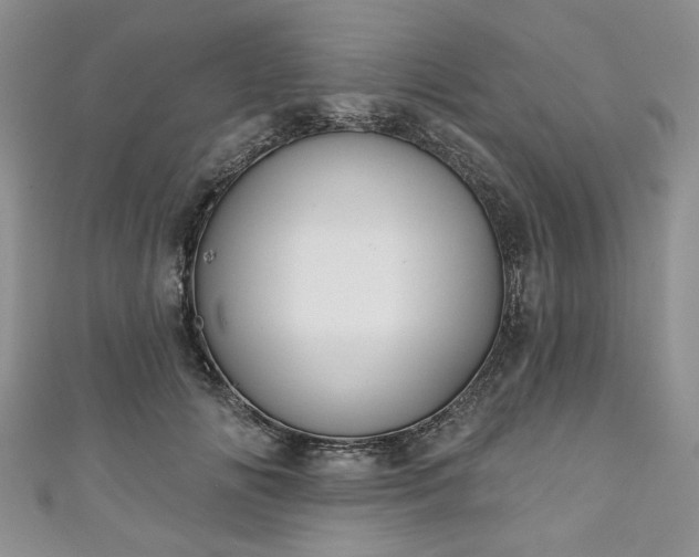 X0000111000702200906261459