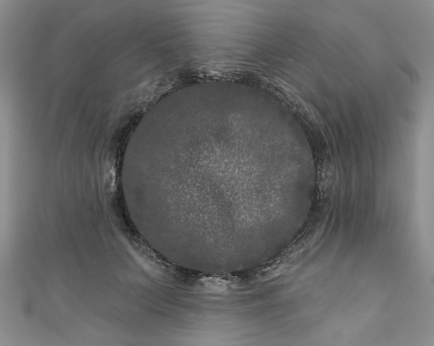 X0000111000703200906261459