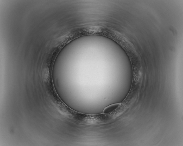 X0000111000704200906261459