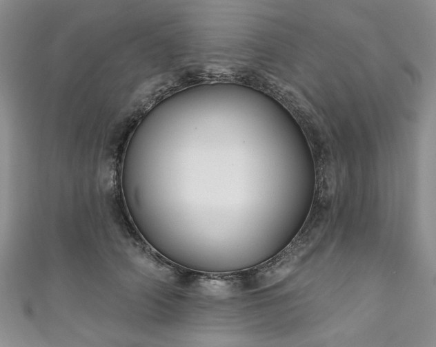 X0000111000706200906261459