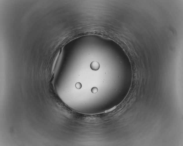 X0000111000708200906261458