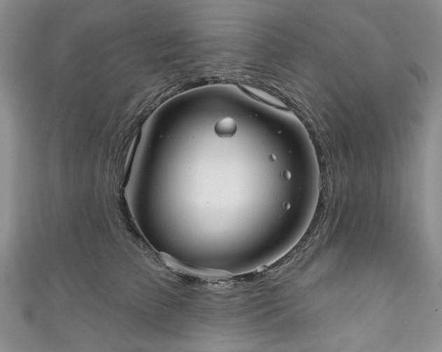 X0000111000709200906261458