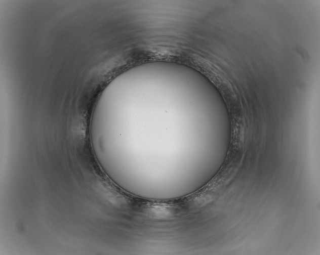 X0000111000710200906261458