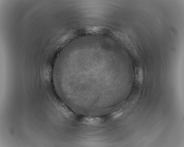 X0000111000712200906261458