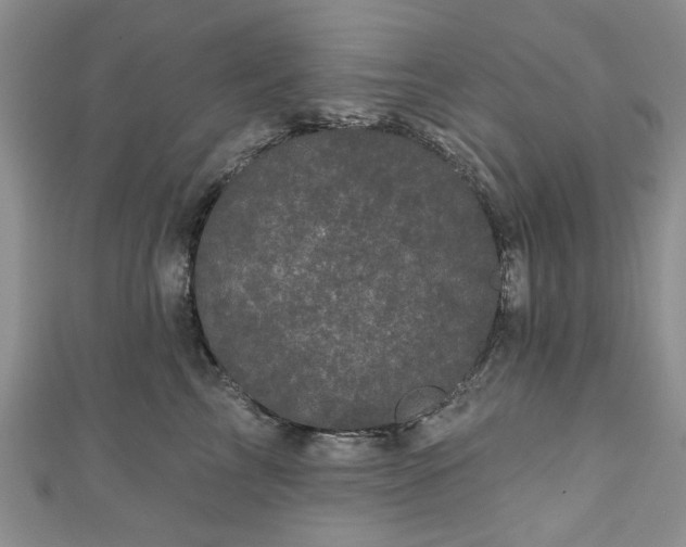 X0000111000713200906261458