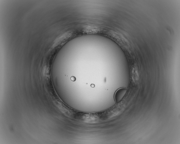 X0000111000714200906261458