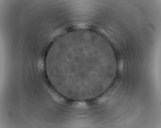 X0000111000715200906261458