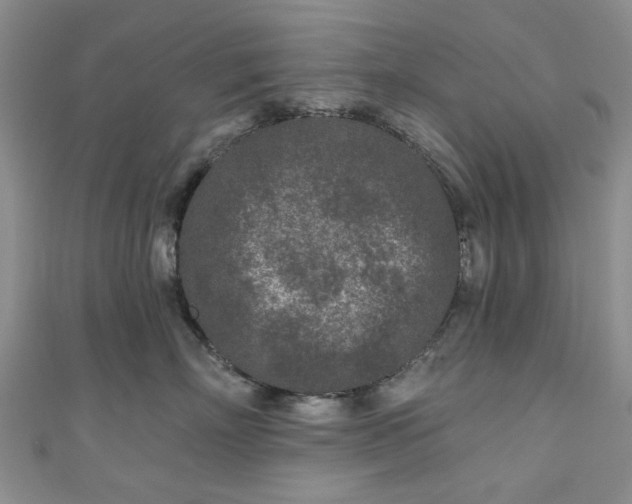 X0000111000718200906261458