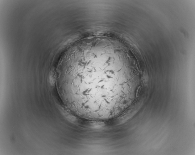 X0000111000719200906261458