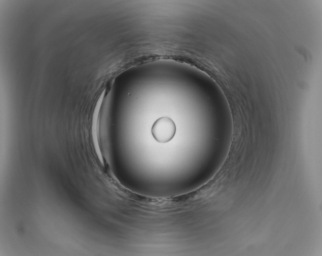 X0000111000720200906261458