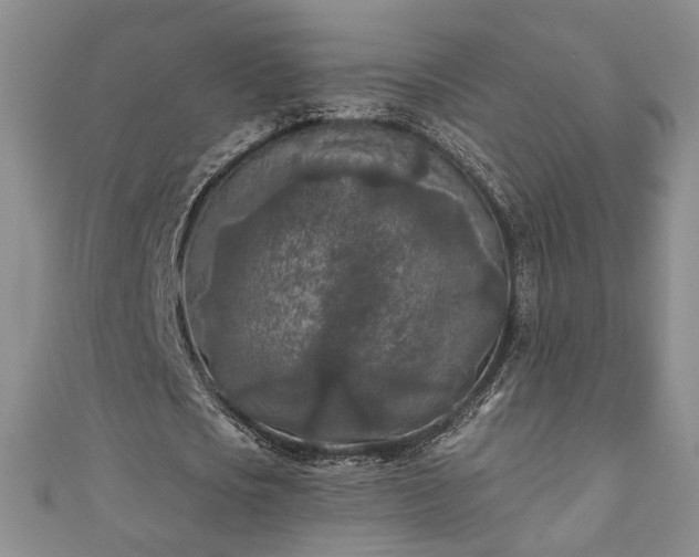 X0000111000721200906261458