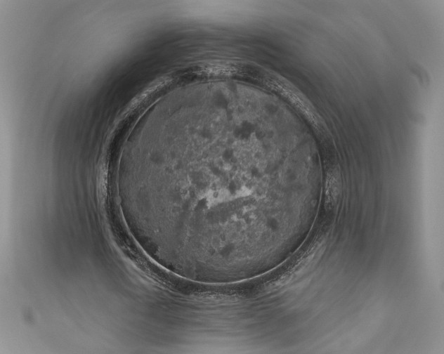 X0000111000722200906261458