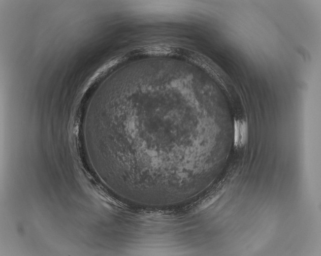 X0000111000723200906261458