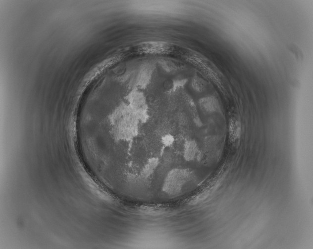 X0000111000725200906261458