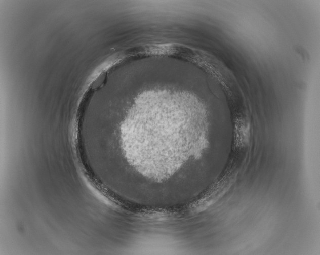 X0000111000726200906261458