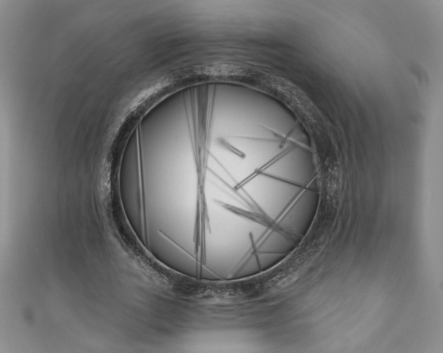 X0000111000727200906261458