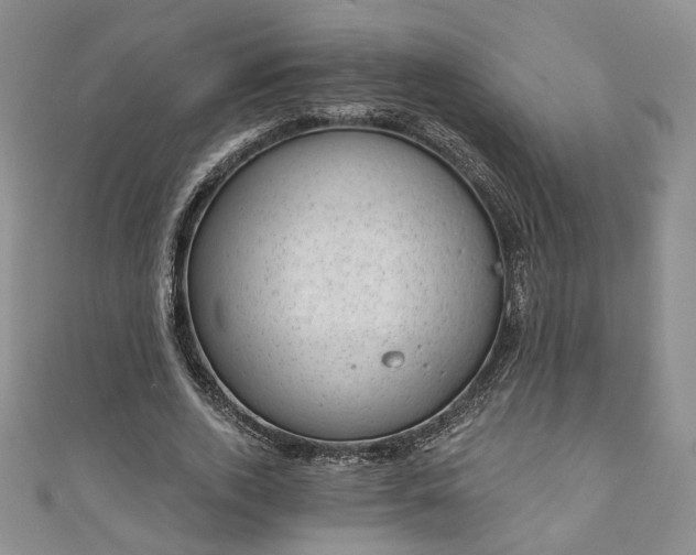 X0000111000728200906261458