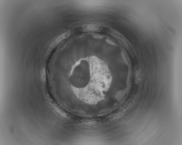 X0000111000729200906261458