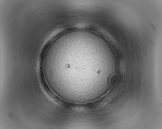 X0000111000730200906261458