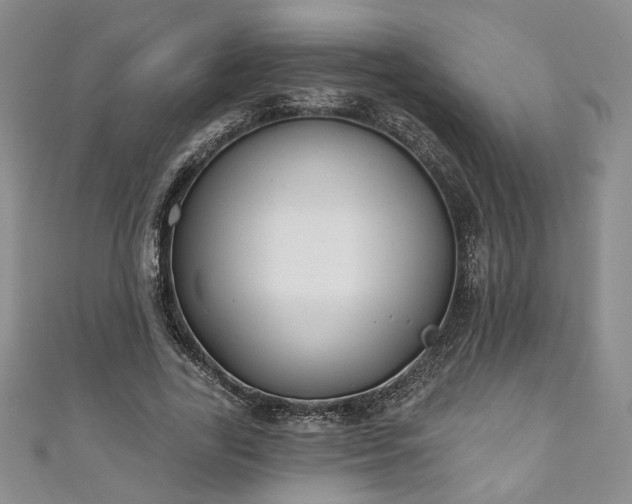 X0000111000731200906261458