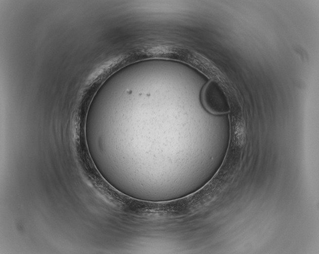 X0000111000732200906261458