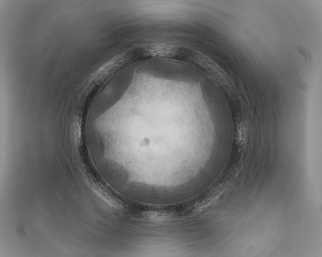 X0000111000733200906261458