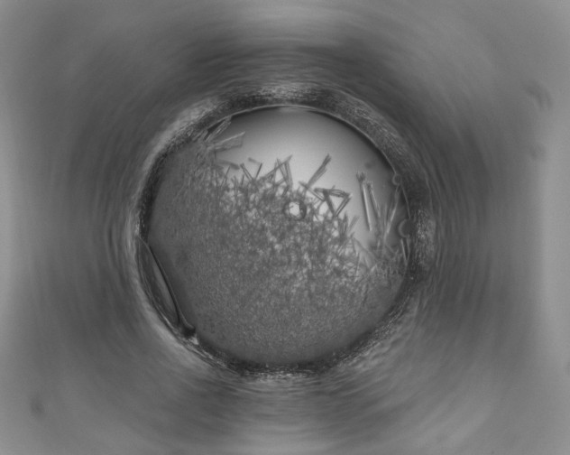 X0000111000734200906261458