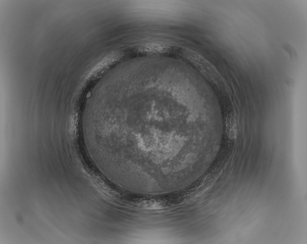 X0000111000735200906261458