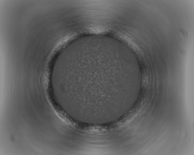 X0000111000736200906261458