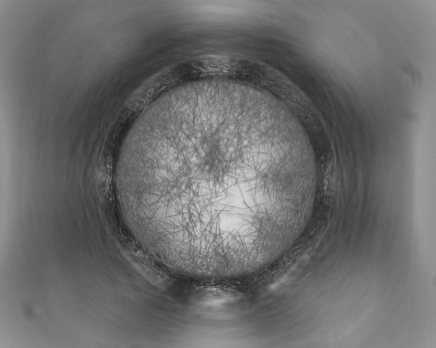 X0000111000737200906261458