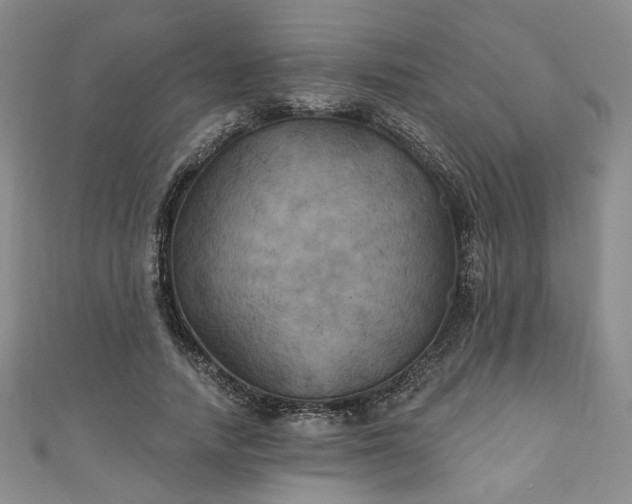 X0000111000738200906261458