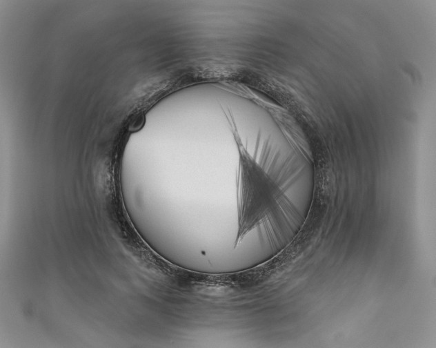 X0000111000743200906261458