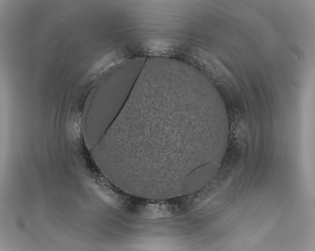 X0000111000744200906261458