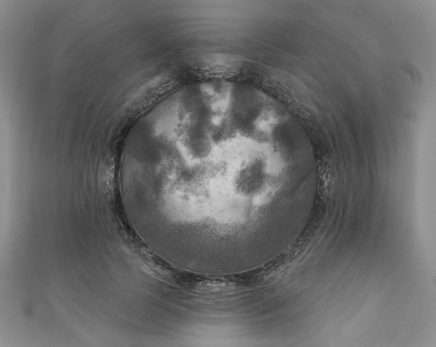 X0000111000745200906261458