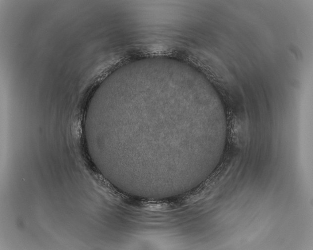 X0000111000746200906261458