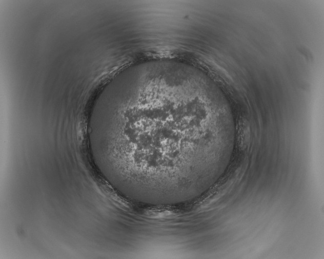 X0000111000747200906261458