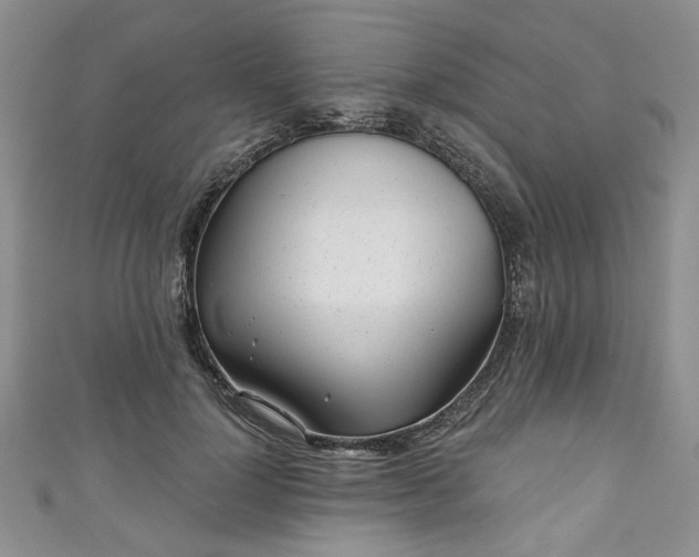 X0000111000748200906261458