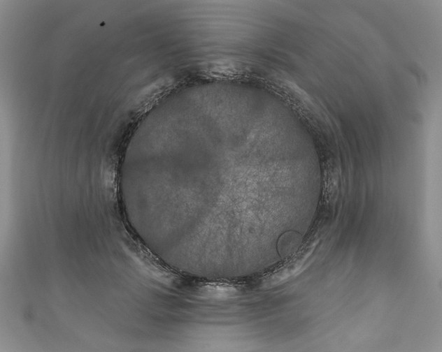 X0000111000749200906261458