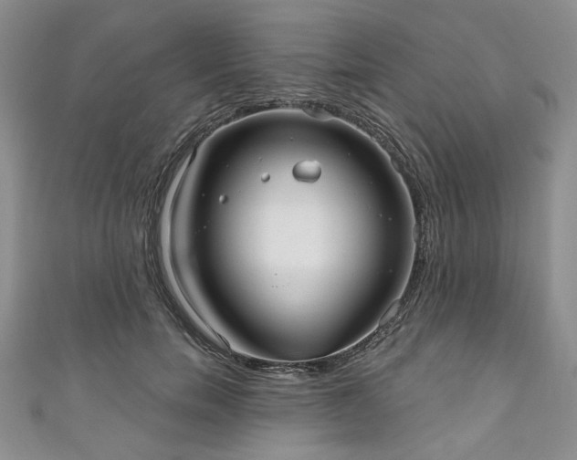 X0000111000750200906261458