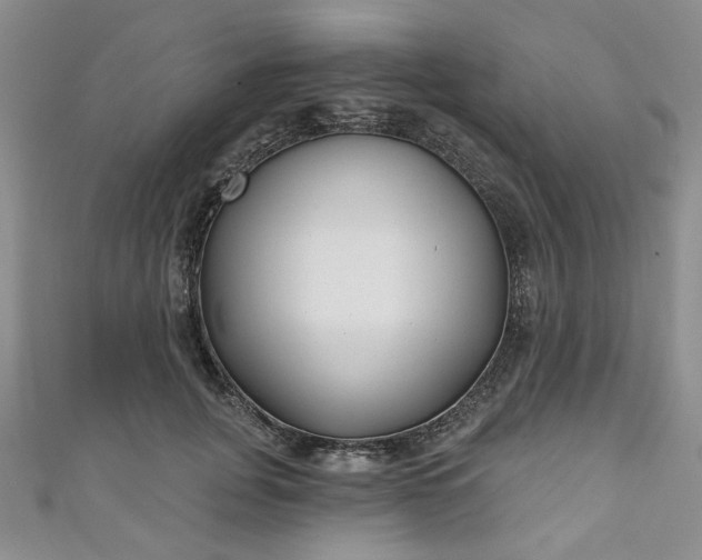 X0000111000751200906261458