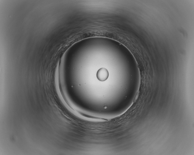 X0000111000752200906261458