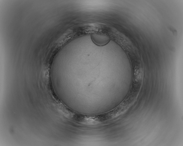 X0000111000753200906261458