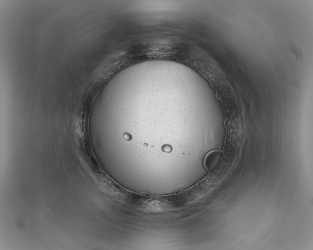 X0000111000755200906261458