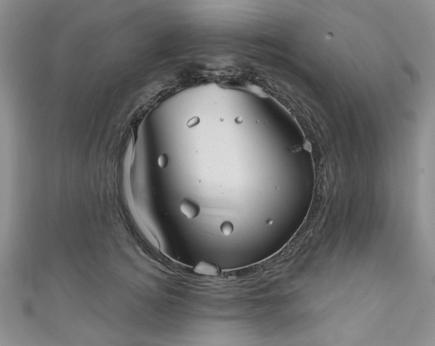 X0000111000756200906261458