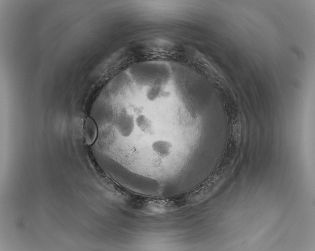 X0000111000757200906261458