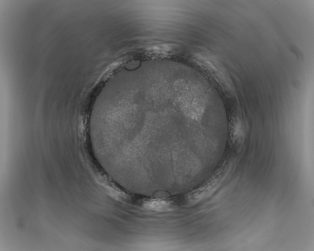 X0000111000759200906261458